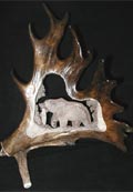 Alaska Gifts - Caribou antler with bear carving
